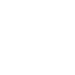 text area
